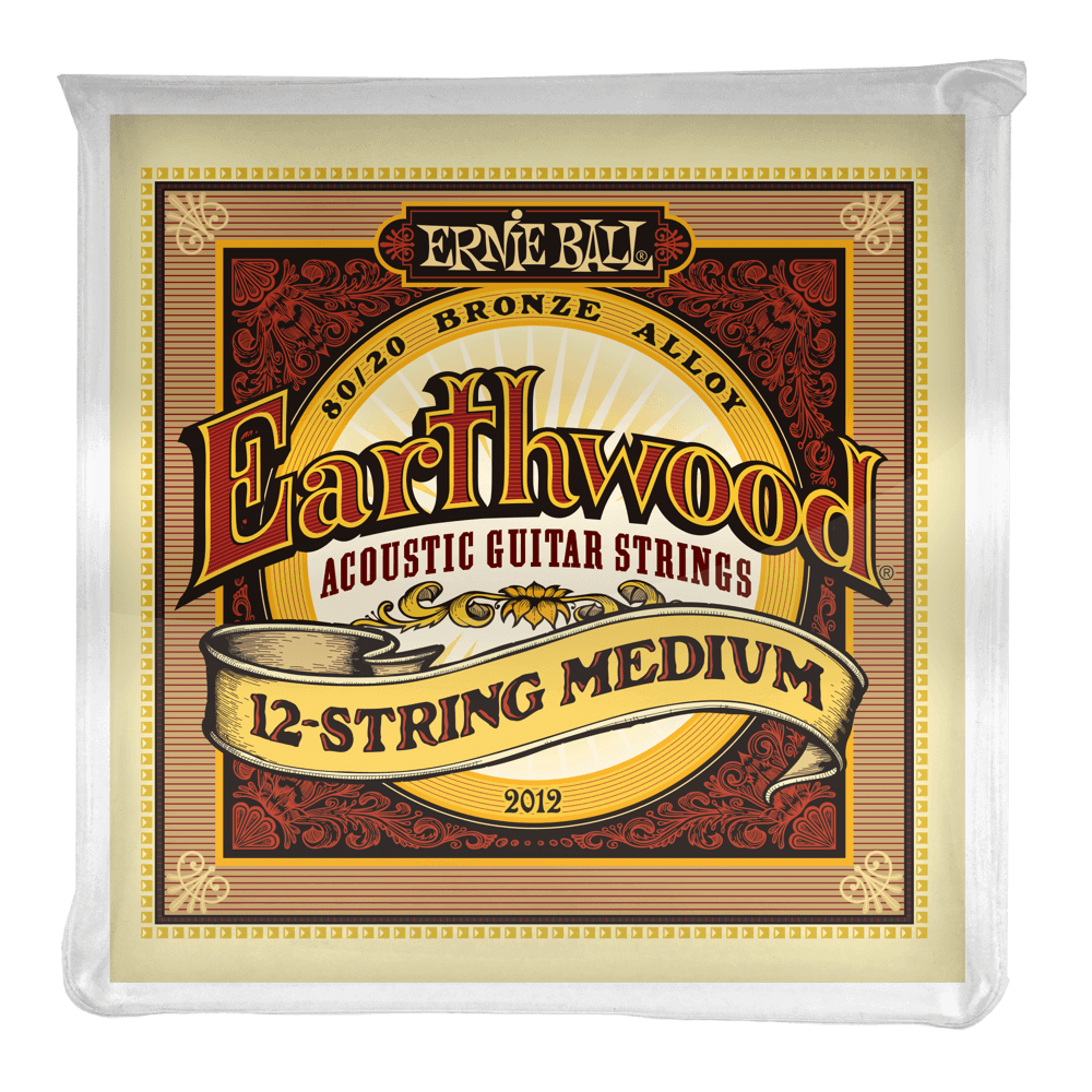 12 String Ernie Earthwood 80/20 Bronze Med 11-52 Acoustic Guitar Strings 2012